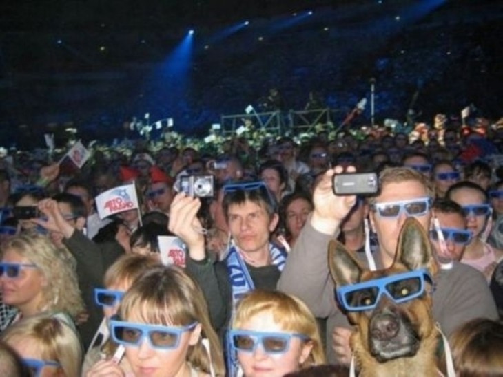 Una multitud de gente en un concierto donde entre los asistentes se encuentra un perro 