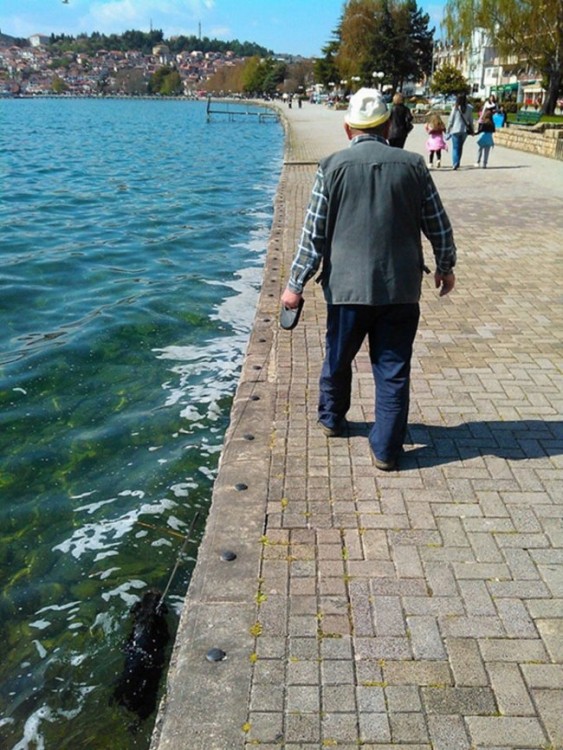 Hombre caminando por la orilla de un lago que lleva a su perro bajo el agua 