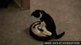 GIF de un gato sobre una roomba aspiradora que limpia por si misma
