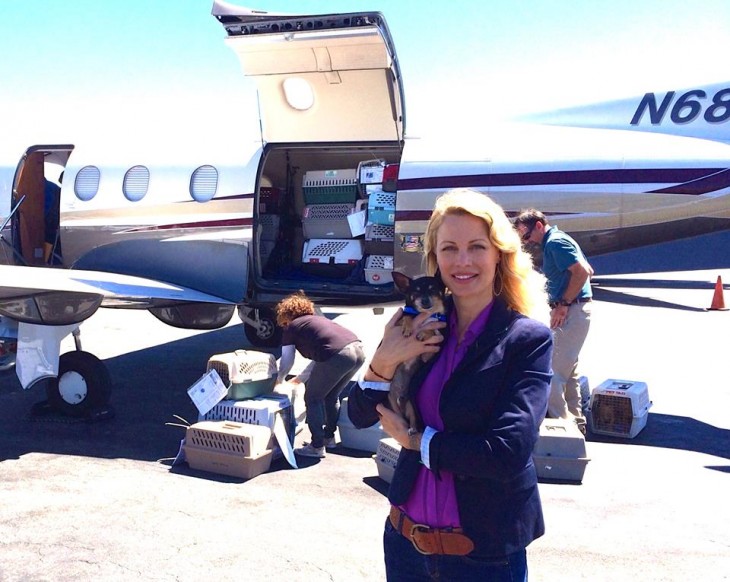 voluntaria de la organización alas de rescate antes de subir perros a un avión 