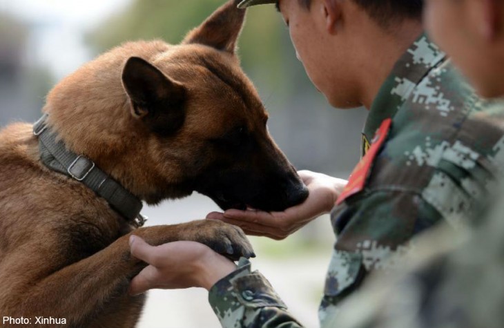 Un militar en China sosteniendo el hocico de un perro entrenado 