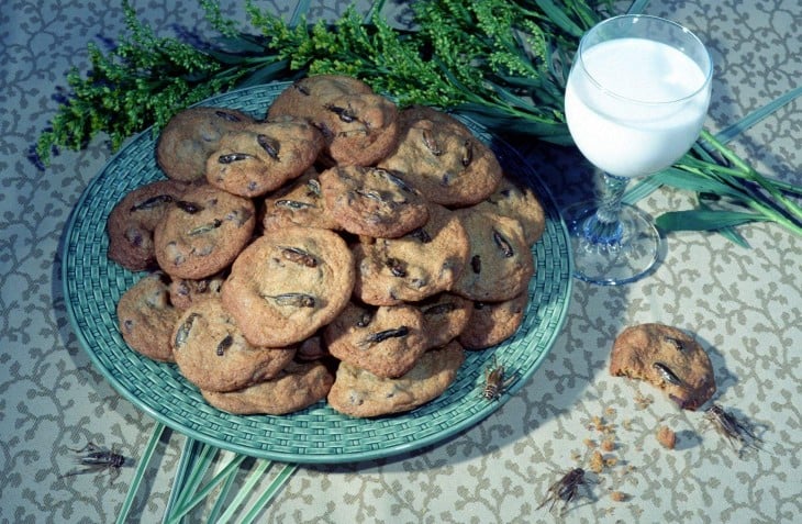 galletas de avispa y grillos