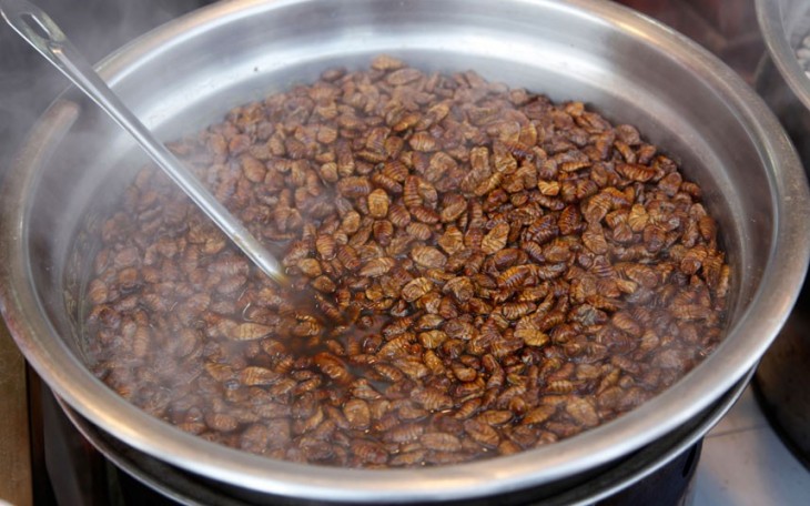 beodegi comida de larvas de gusano de seda comida coreana