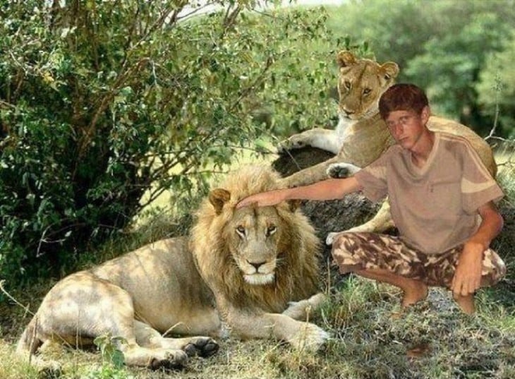 niño se photoshope junto a leones