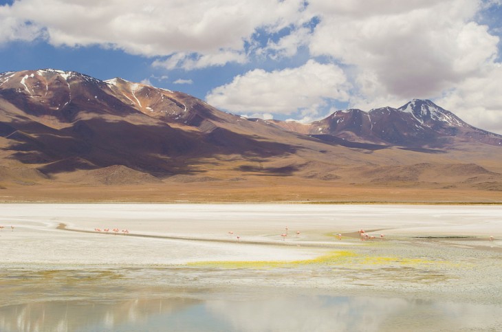 Altiplano de los Andes en Bolivia 