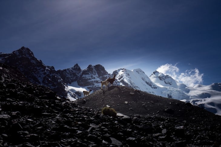 Cordillera Real, Bolivia 