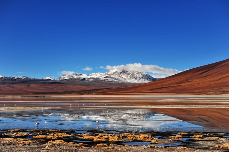 Laguna Blanca en el Altiplano Boliviano