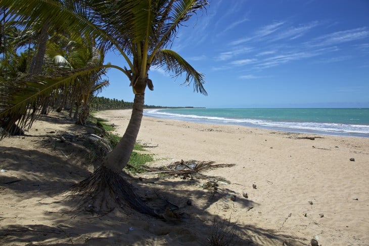 Playa Sirena en Maceió, Brasil 