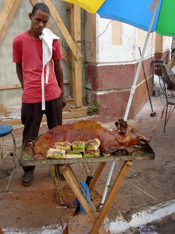 CUBANDO VENDIENDO LECHON