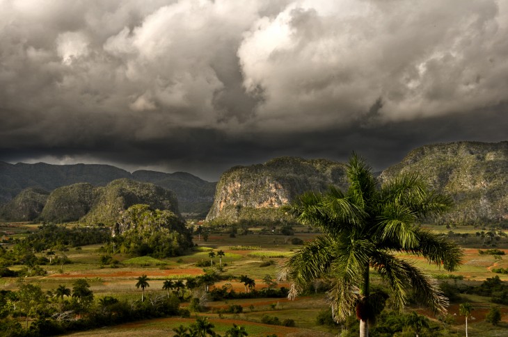 MONGOTES DE VIÑALES DE CUBA