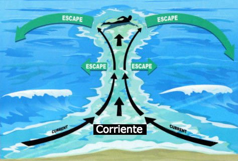 15 Cosas simples que pueden salvarte la vida