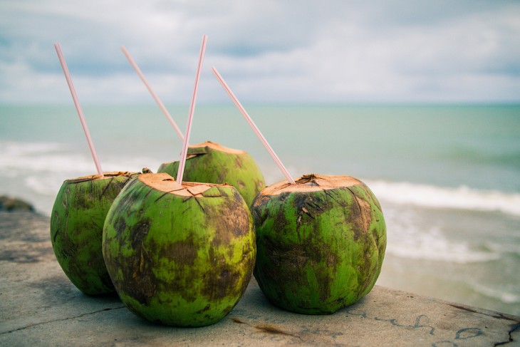 Cocos con popotes sobre una superficie frente a una playa 