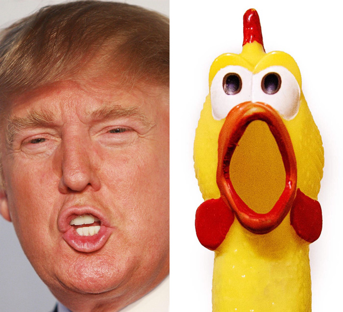 Pollo de goma sorprendido con la cara de Donald Trump 