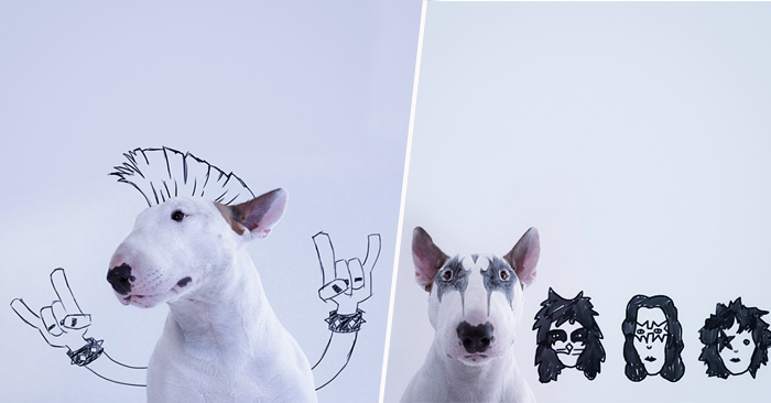Rafael Mantesso crea ilustraciones alrededor de su perro
