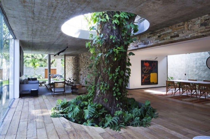 árbol con ramas en medio de la sala y el comedor de una sala
