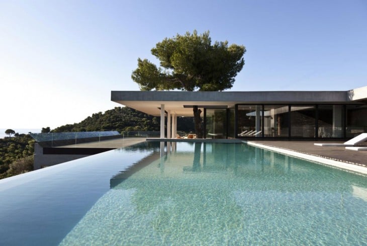 casa con alberca con un árbol en su exterior 