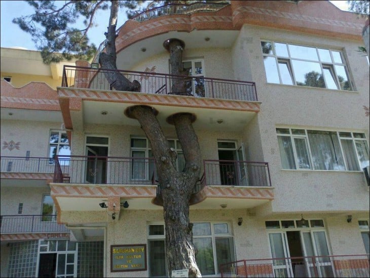 edificio que tiene un árbol en su diseño 