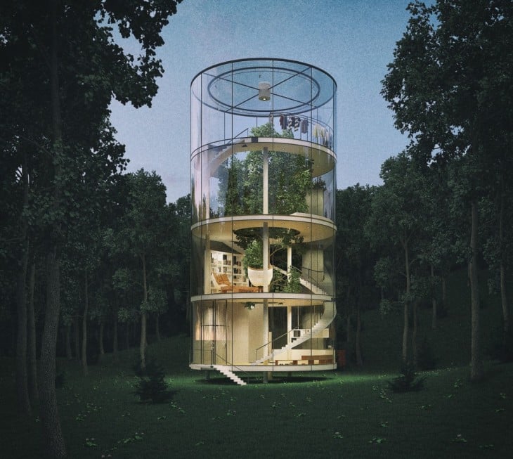 casa construida alrededor de un árbol en el bosque 