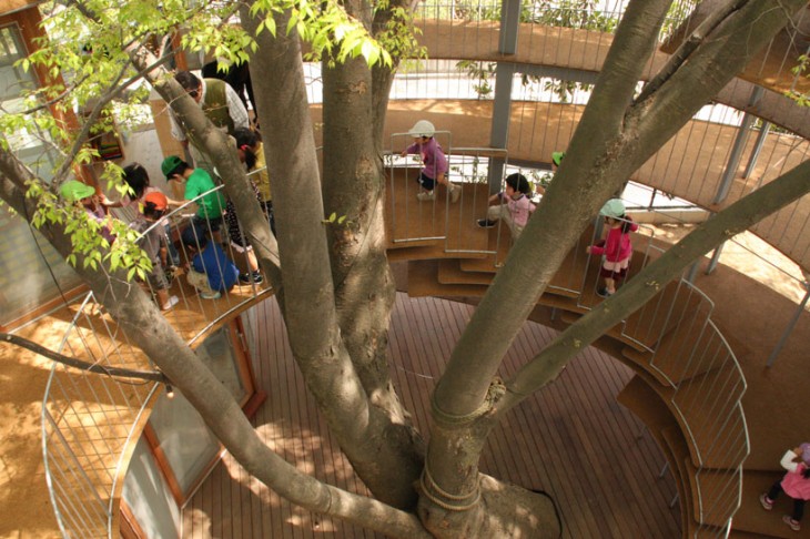 niños subiendo unas escaleras alrededor de un árbol 