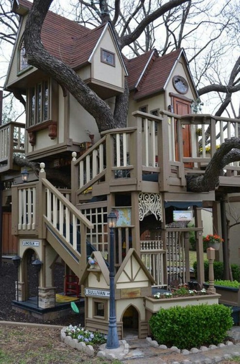 casa construida alrededor de un gran árbol 