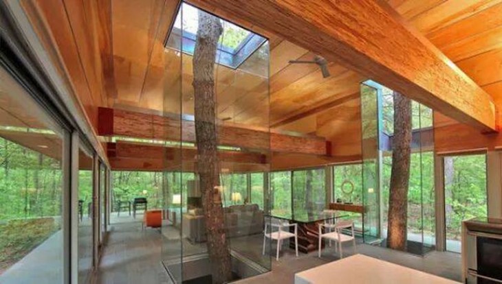 diseños de casa con árboles en su interior 
