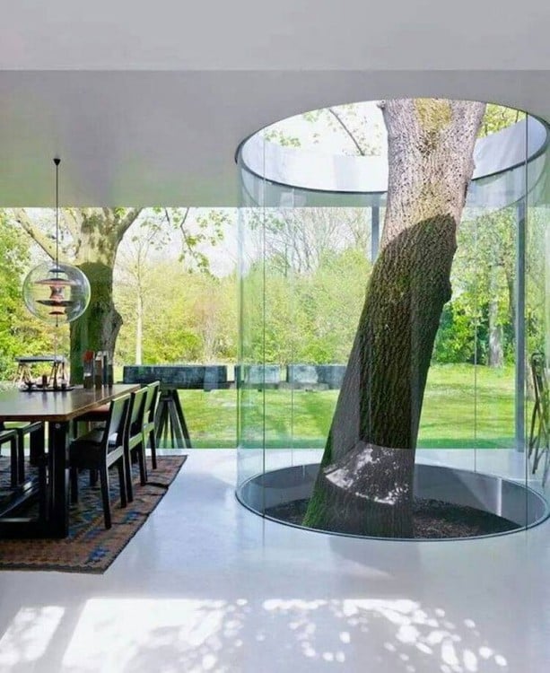 casa con un árbol en su interior 