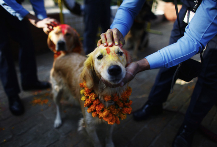 personas acariciando a un perro en medio del festival de Nepal 