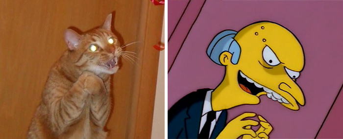 Gato con la misma pose del Sr. Burns de Los Simpson
