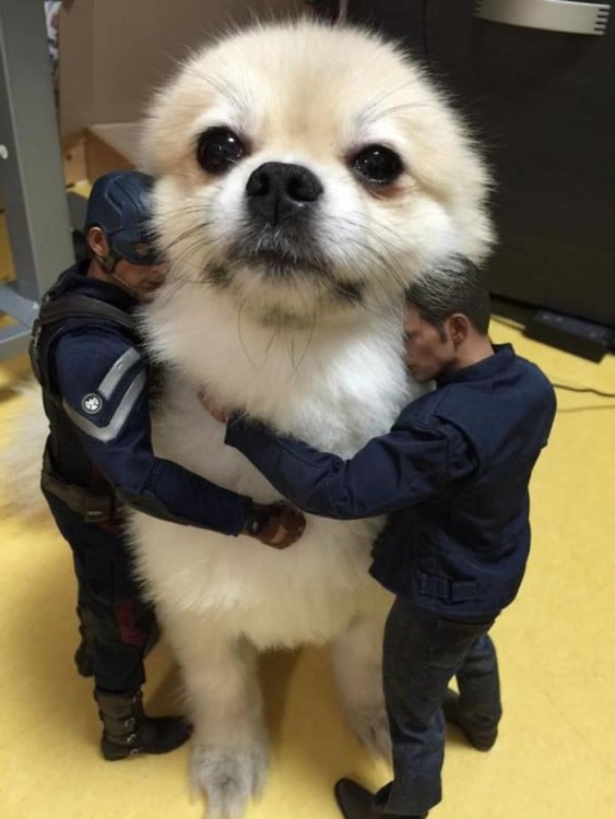 Muñecos abrazando a un  perro blanco que parece estar muy grande 