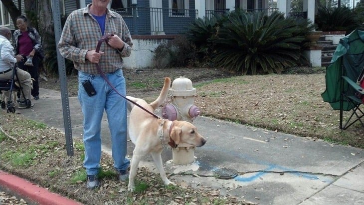 Persona que lleva un perro atado a una cadena donde esta orinando a su dueño 