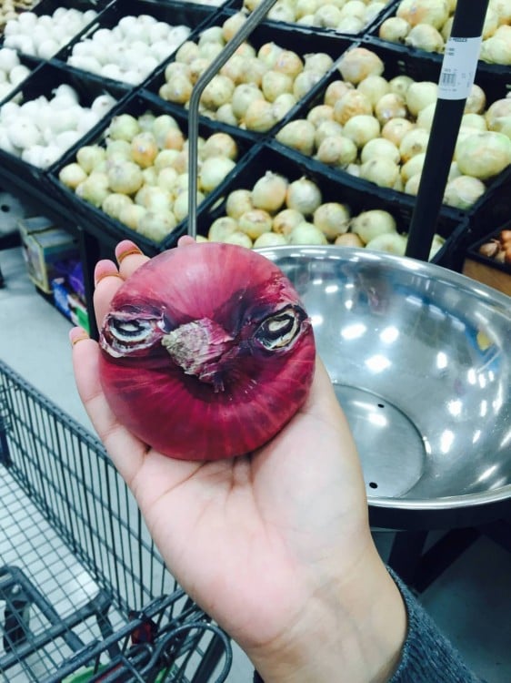 cebolla en forma de angry bird 
