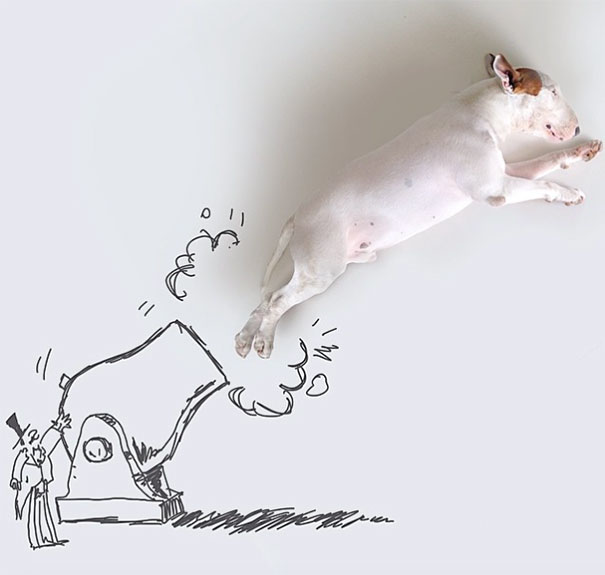 Dibujo de un cañón lanzando a un perro 