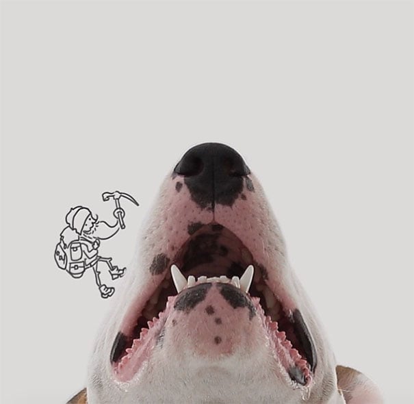 Dueño de perro crea divertidas ilustraciones con su bull 