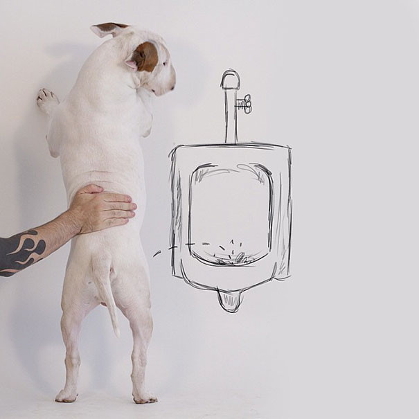Rafael Mantesso crea ilustraciones alrededor de su perro