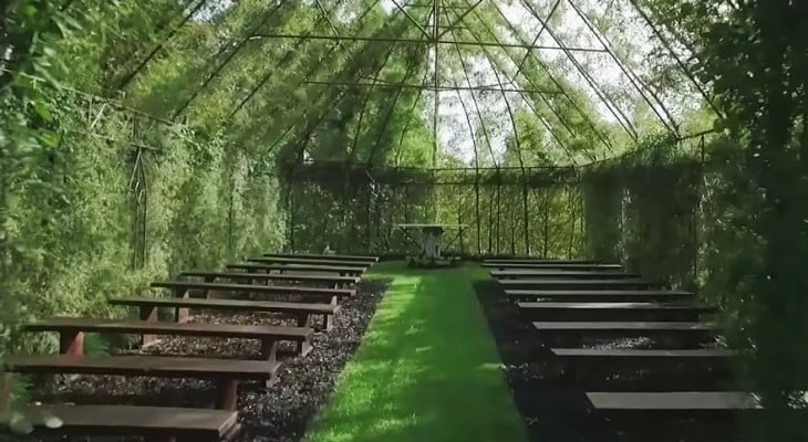 interior de laiglesia que se construyo con arboles en nueva zelanda