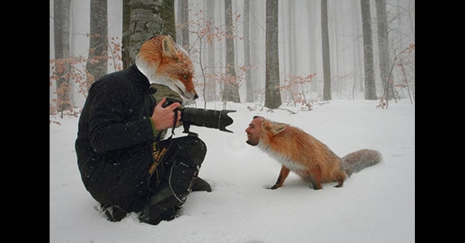 30 imágenes de animales y personas intercambiando caras