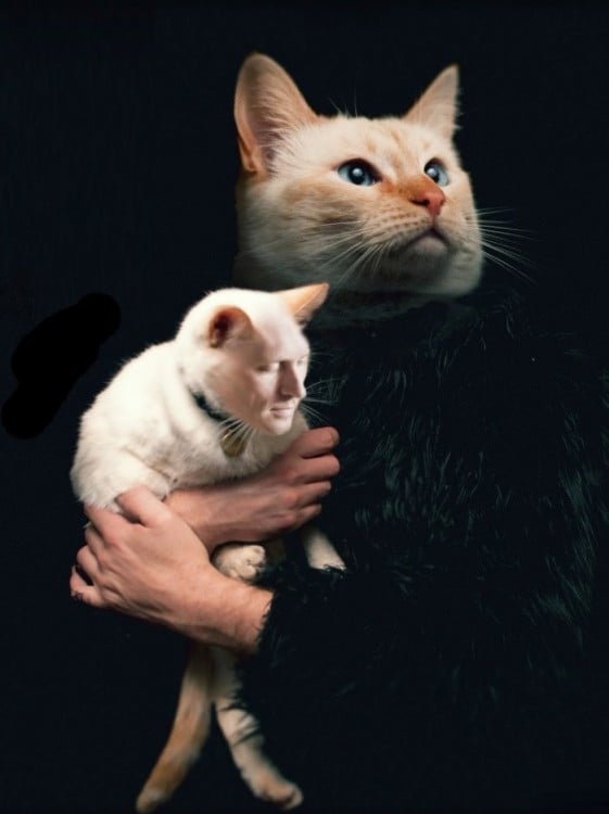 Hombre con cara de gato sosteniendo a un gato con cara de una persona 