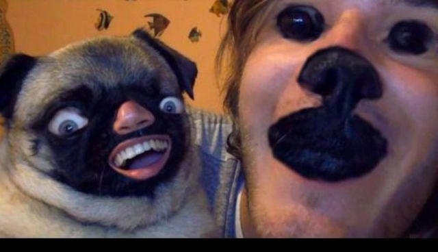 30 imágenes de animales y personas intercambiando caras