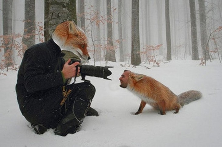 Hombre con cara de zorro tomándole foto a un zorro con cara de hombre 