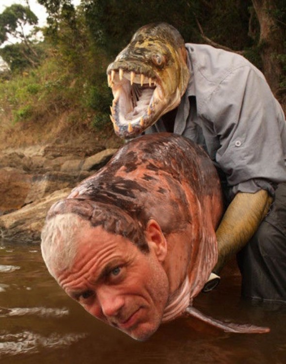 Hombre intercambia la cara con la de un pez 