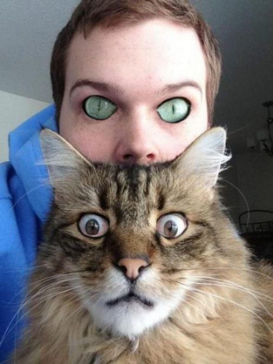 Chico que intercambio sus ojos con los de un gato 