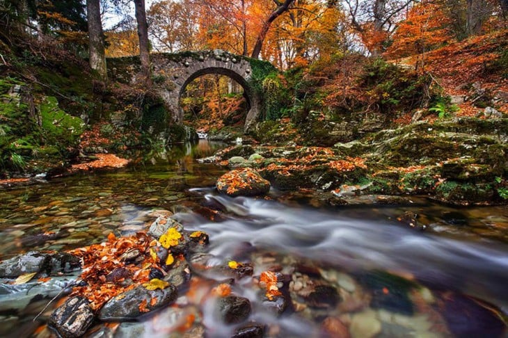 Tollymore, Uk