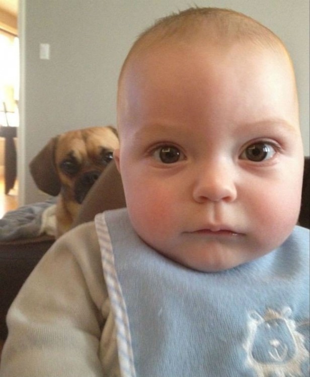 imagen de un bebé que detrás tiene un perro 