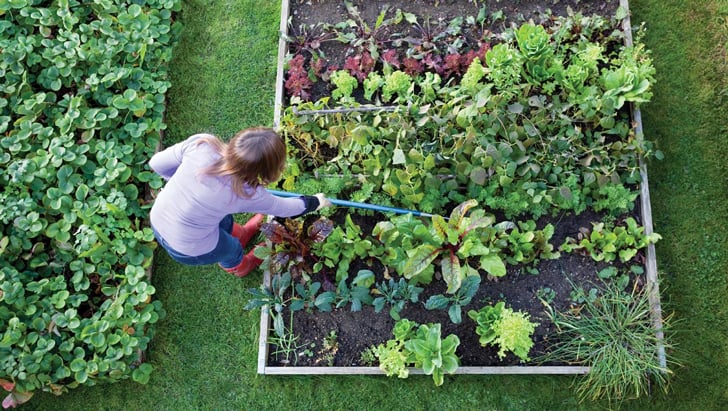 Mujer cuidando los cultivos en el jardín de su casa 