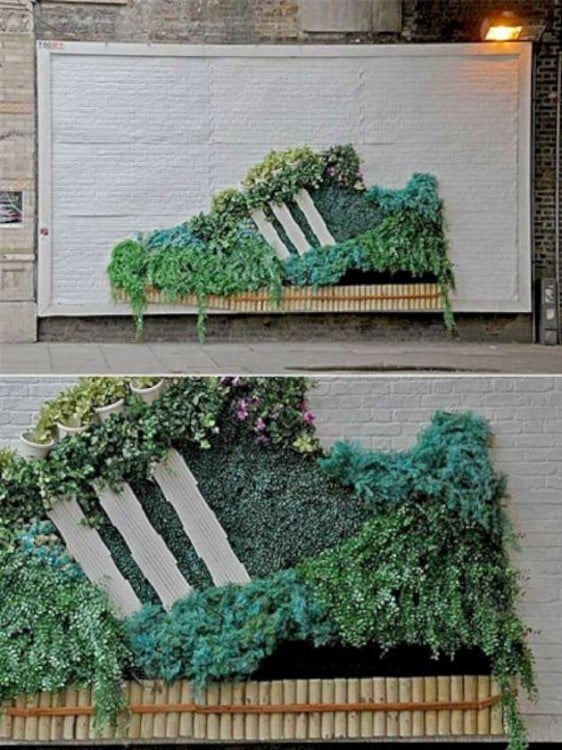 Tennis echos con plantas en una pared 