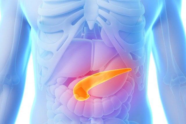 imagen en rayos x de una persona con un páncreas artificial 