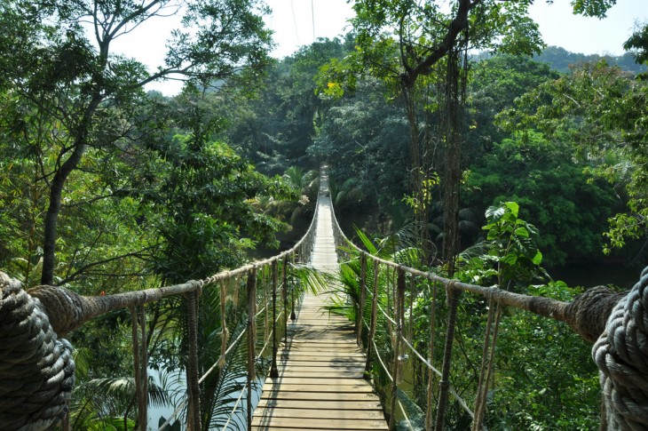 Jungle Bridge en la Isla Roatan, Honduras