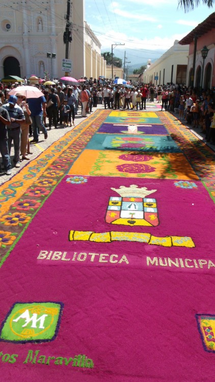 Alfombra de aserrín en comayagua honduras 