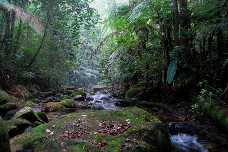 Río Cusuco, Honduras 