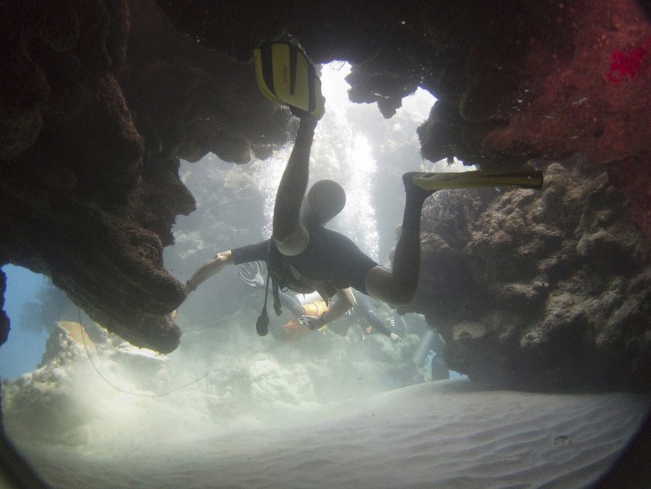 Personas debajo de un arrecife buceando en la isla de Utila en Honduras 